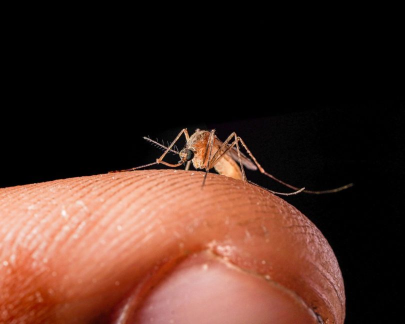 Técnico realizando inspeção em área externa de condomínio para identificar focos do mosquito Aedes aegypti